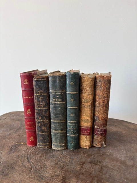 Antieke Franse boeken, set van 6