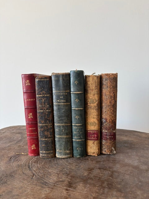 Antieke Franse boeken, set van 6