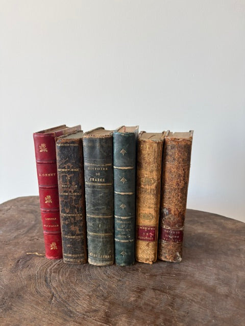 Antieke Franse boeken, set van 6